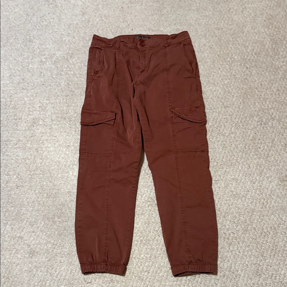 Women’s Sanctuary cargo pants size 28